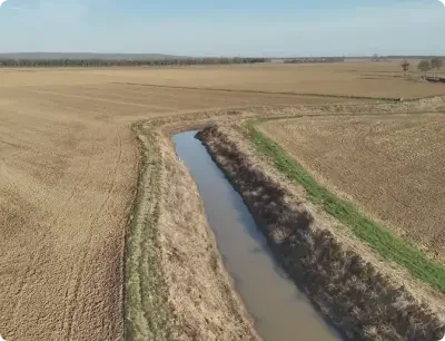 Border Weed Control